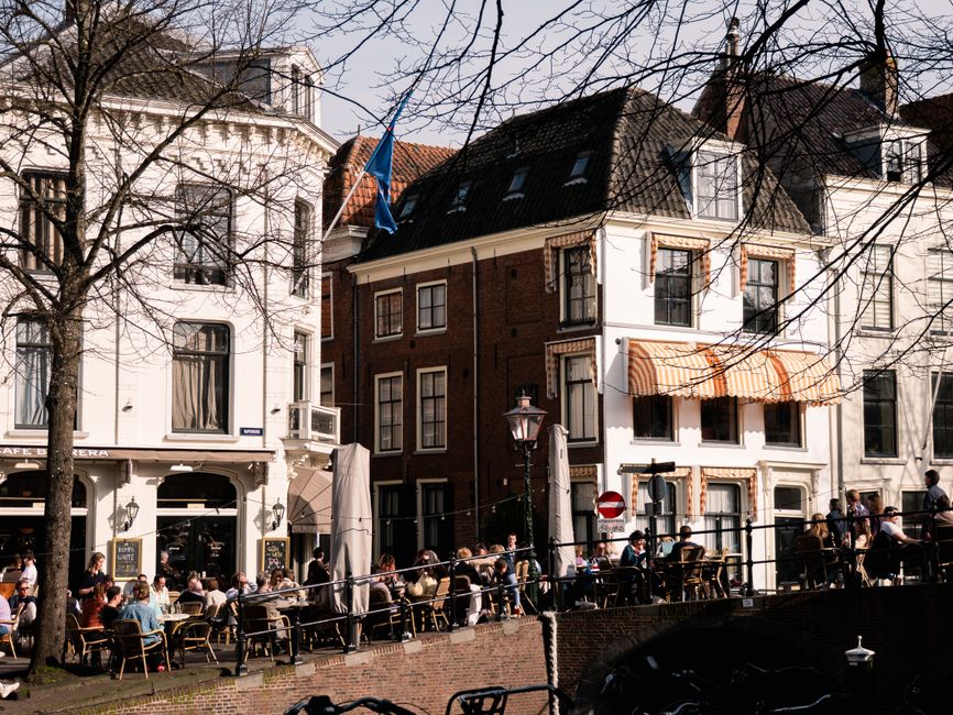 Moderne overkapping met lamellen voor terras. Moderne overkapping met lamellen voor terras.