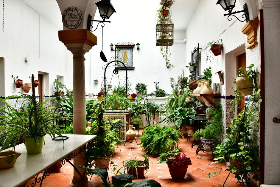 Vers geplante aromatische kruiden in binnentuin.