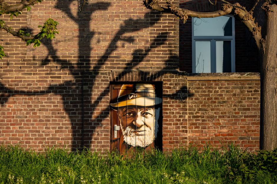 Gezellige woonkamer met warm lync kunstwerk. Gezellige woonkamer met warm lync kunstwerk.